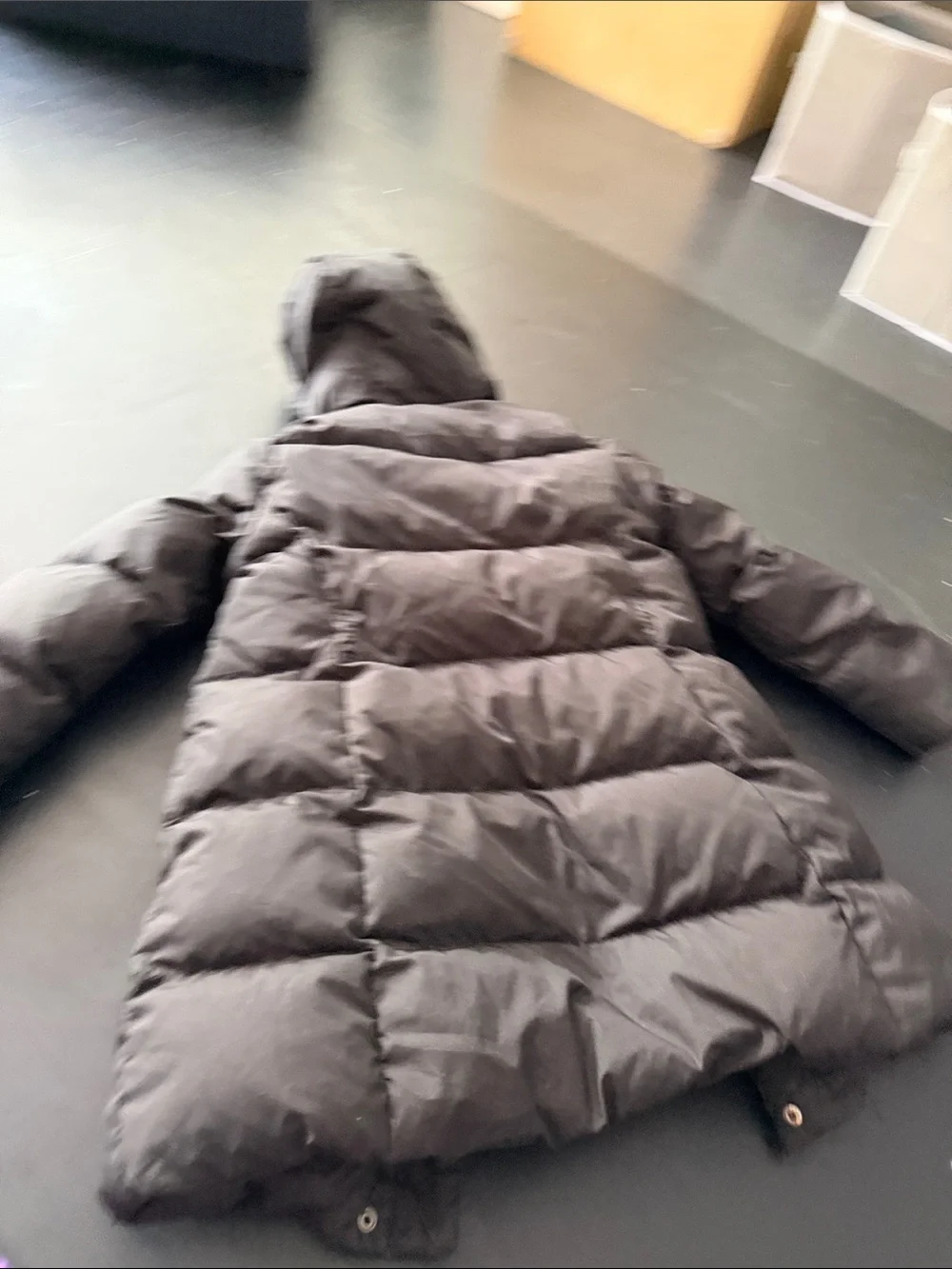 Crewcuts Hooded Puffer Coat in black